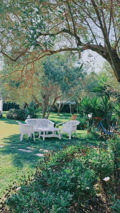 Il Bouganville Oristano Ngoại thất bức ảnh